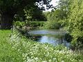 2011-0427_1320_River_Mole_Downside_Surrey_16C